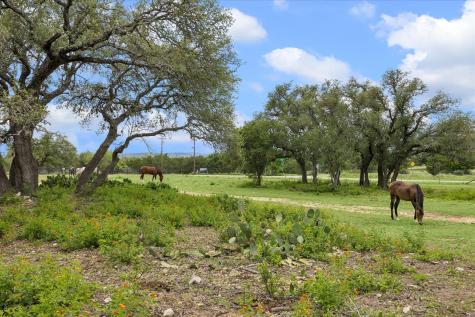 6411 W Fitzhugh Road Dripping Springs TX 78620