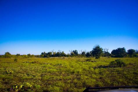 000 County Road 1255 Lampasas TX 76550