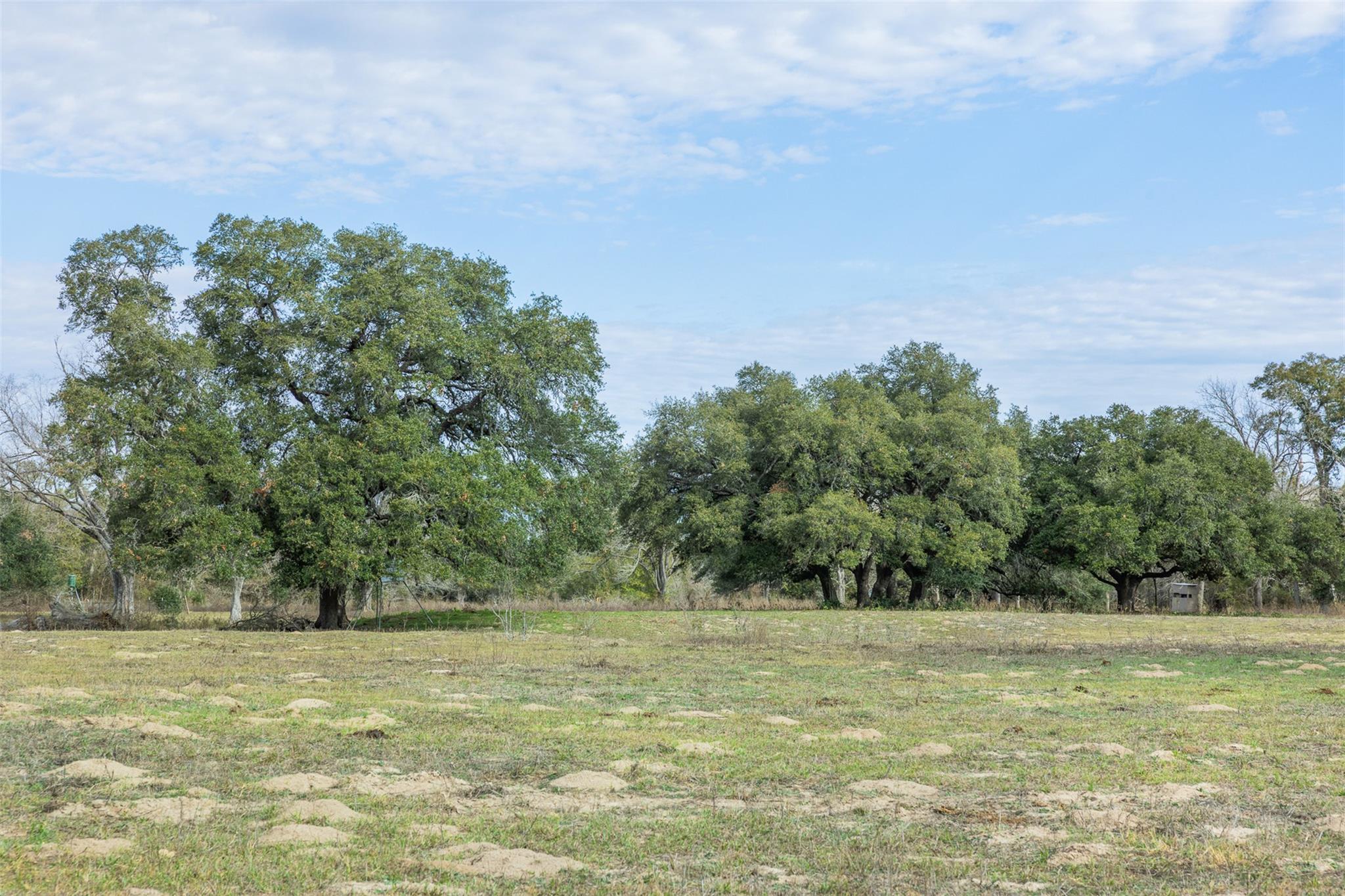 1820 South Old Smithville Road Flatonia TX 78941