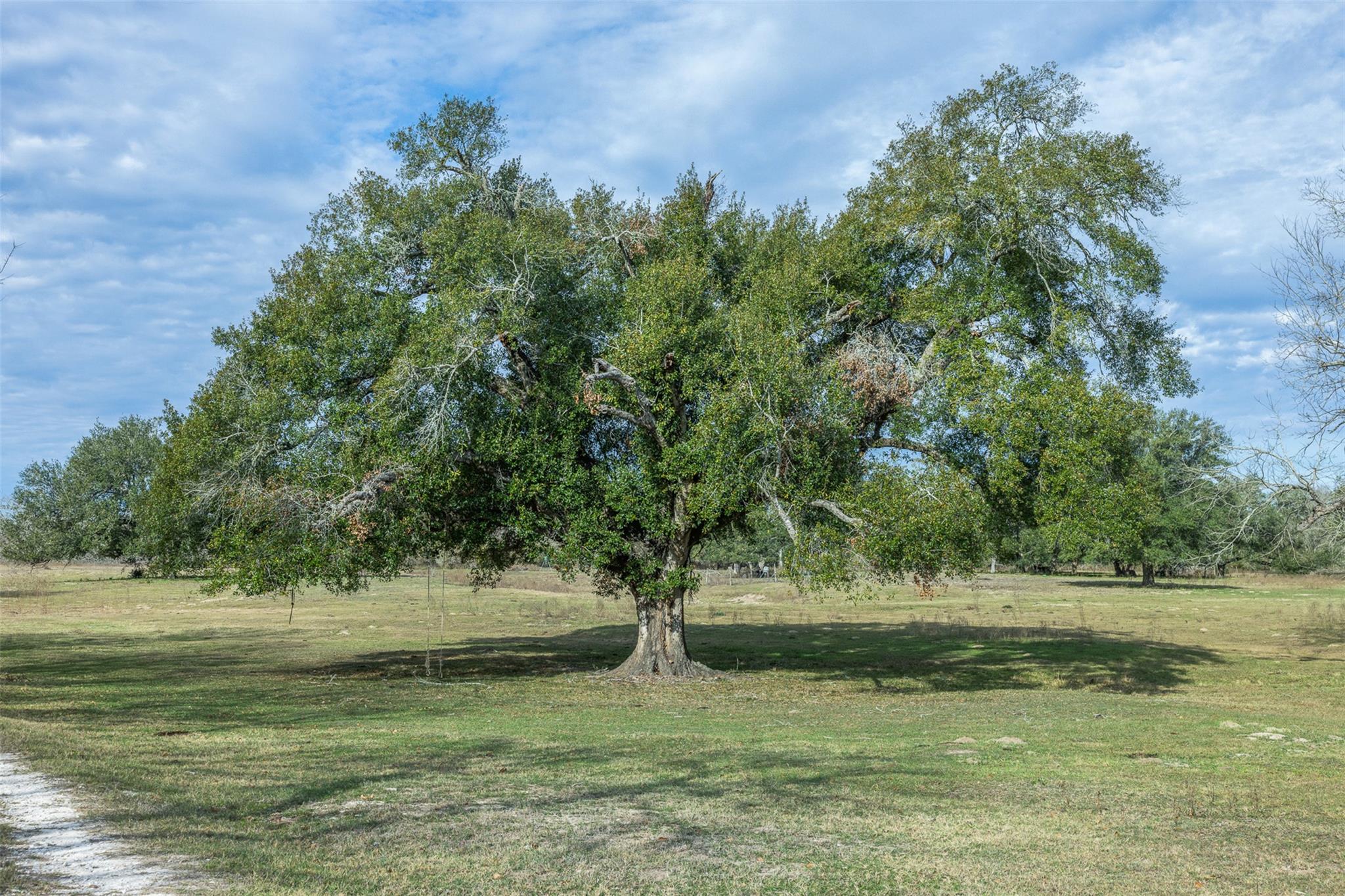 1820 South Old Smithville Road Flatonia TX 78941