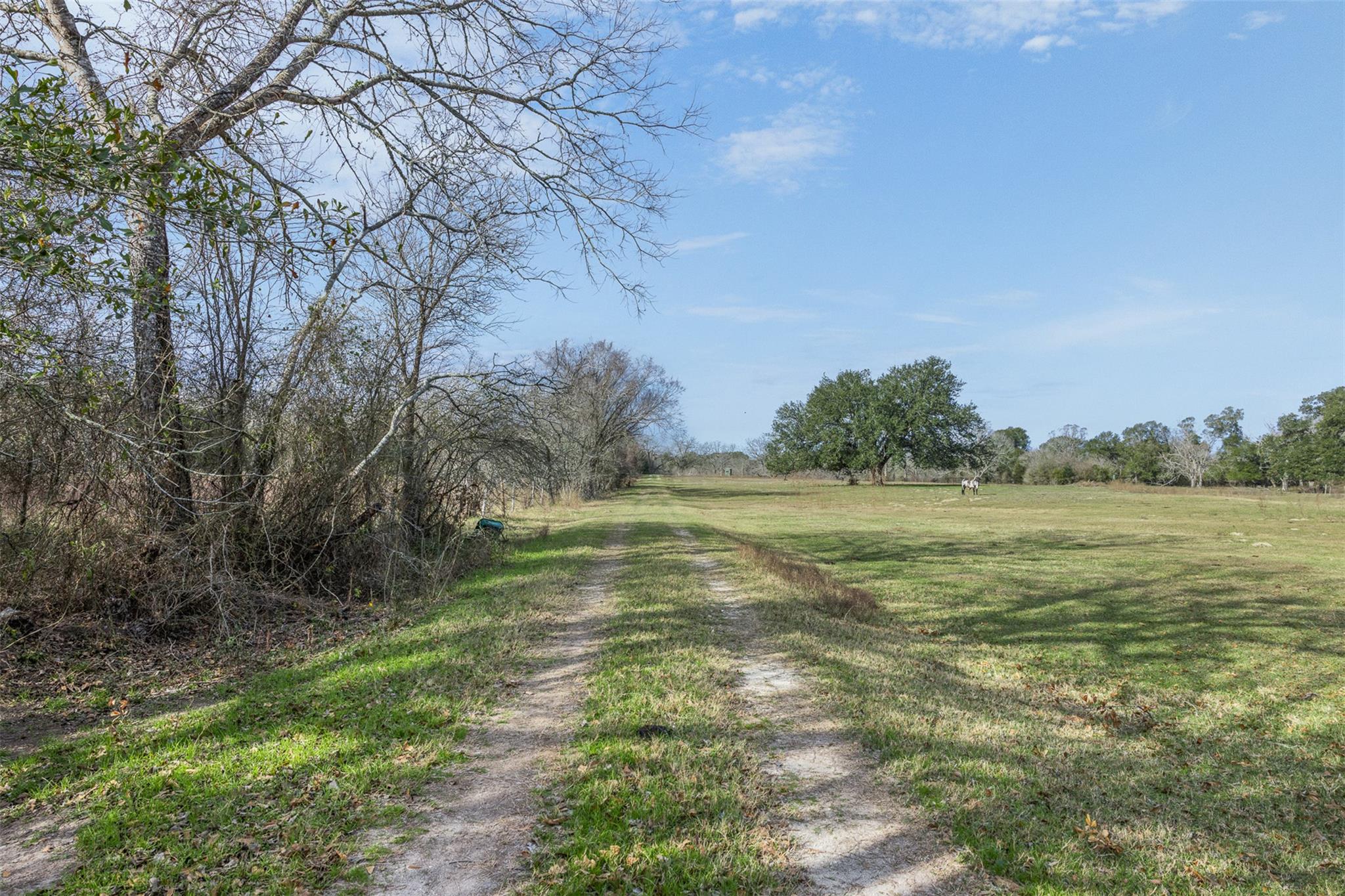 1820 South Old Smithville Road Flatonia TX 78941