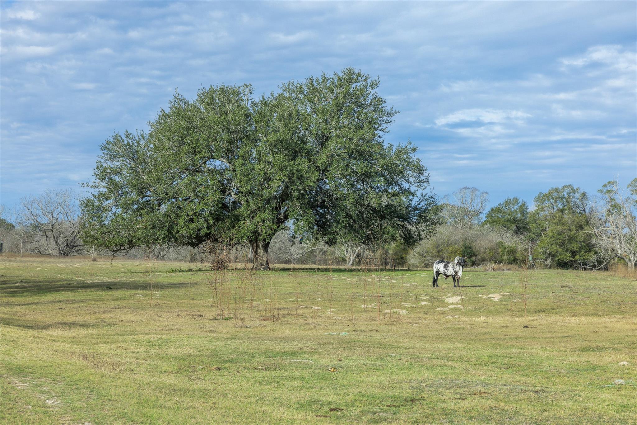 1820 South Old Smithville Road Flatonia TX 78941