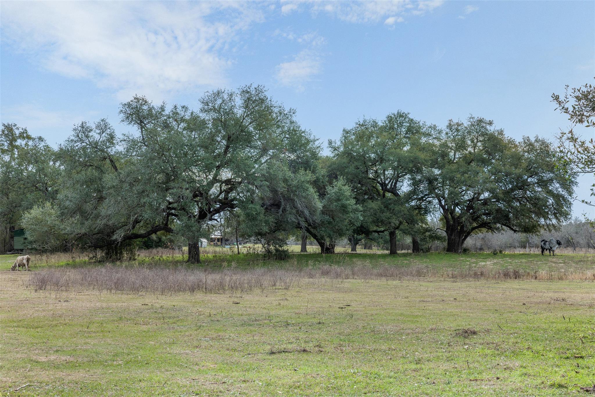 1820 South Old Smithville Road Flatonia TX 78941
