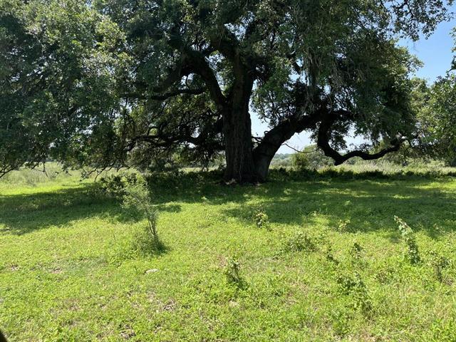 534 Scotts School Road Flatonia TX 78941