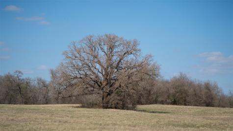Tbd E 21st Street Cameron TX 76520
