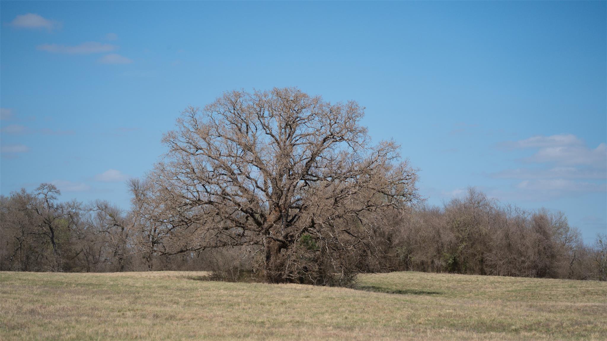 Tbd E 21st Street Cameron TX 76520