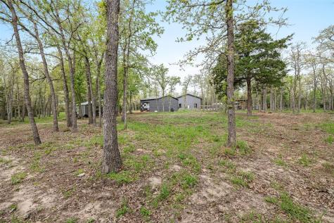 12975 Young Lane Lane Carmine TX 78322