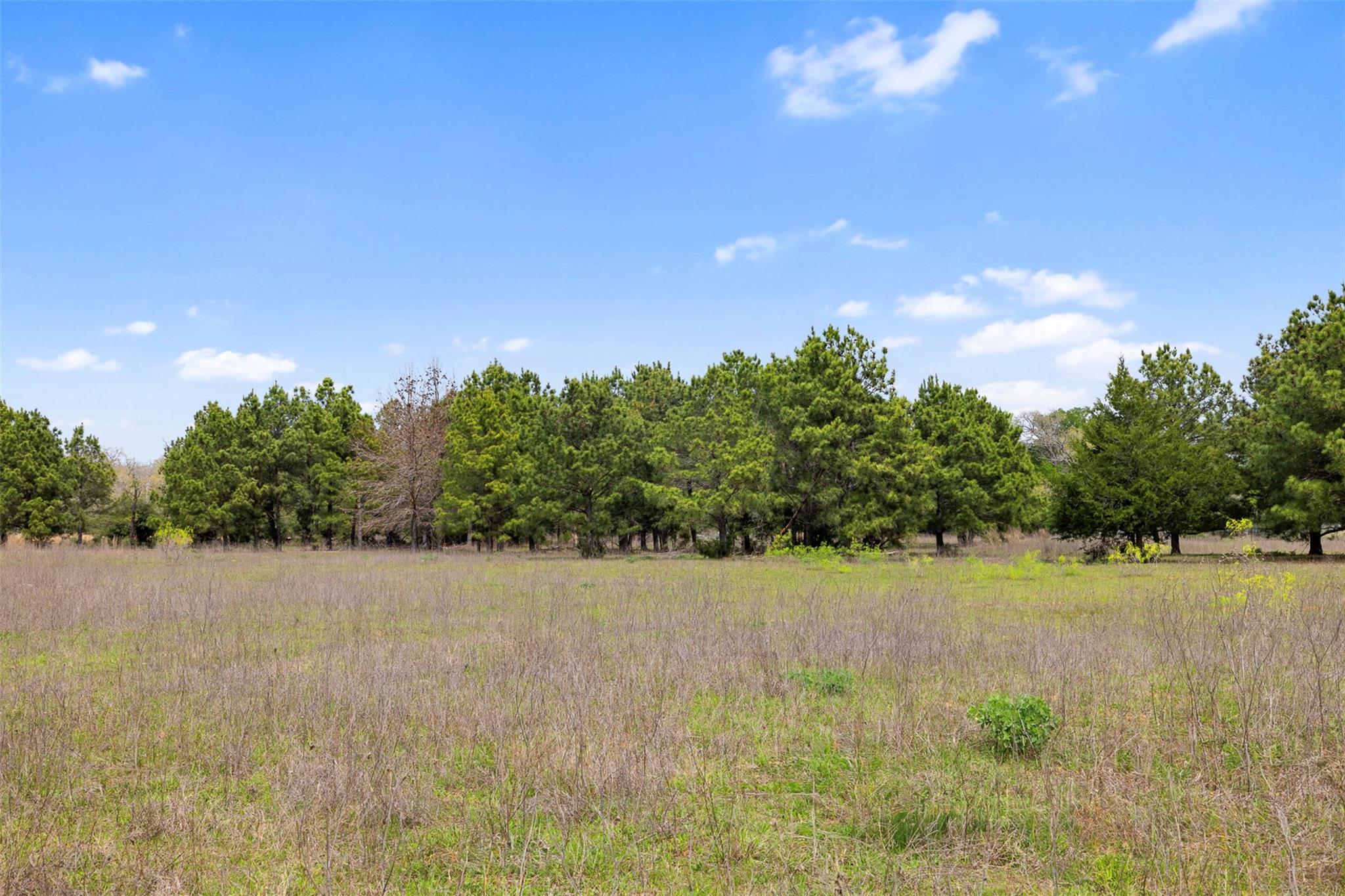 000 County Road 332 Paige TX 78659