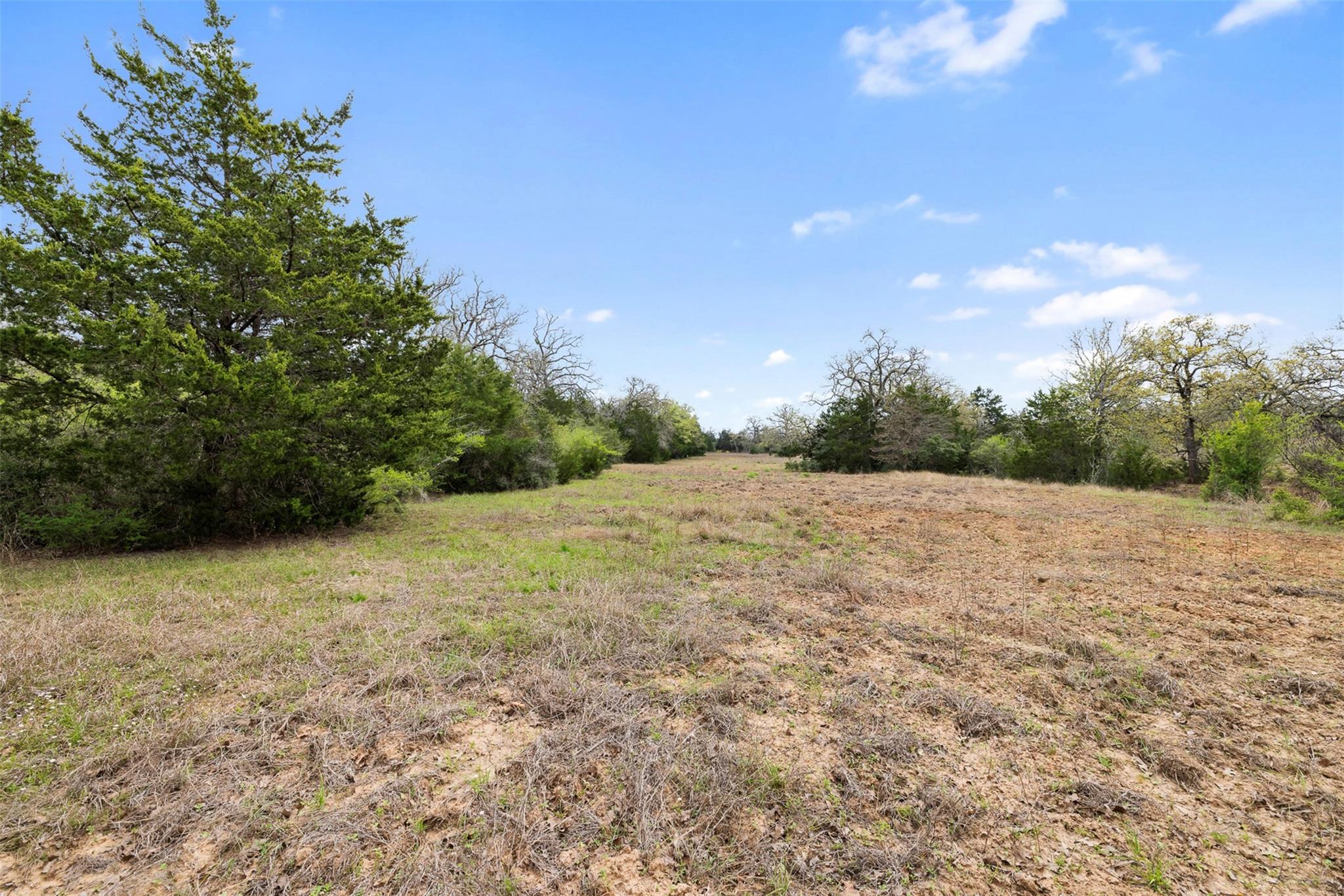 000 County Road 332 Paige TX 78659