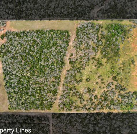 000 County Road 332 Paige TX 78659