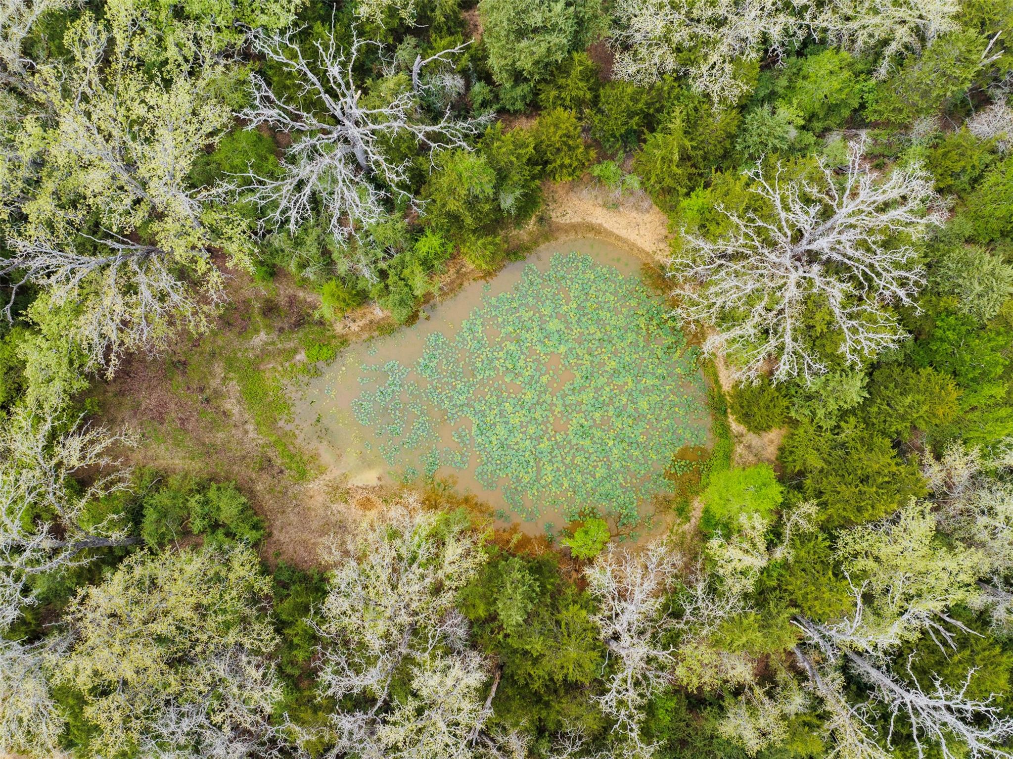000 County Road 332 Paige TX 78659