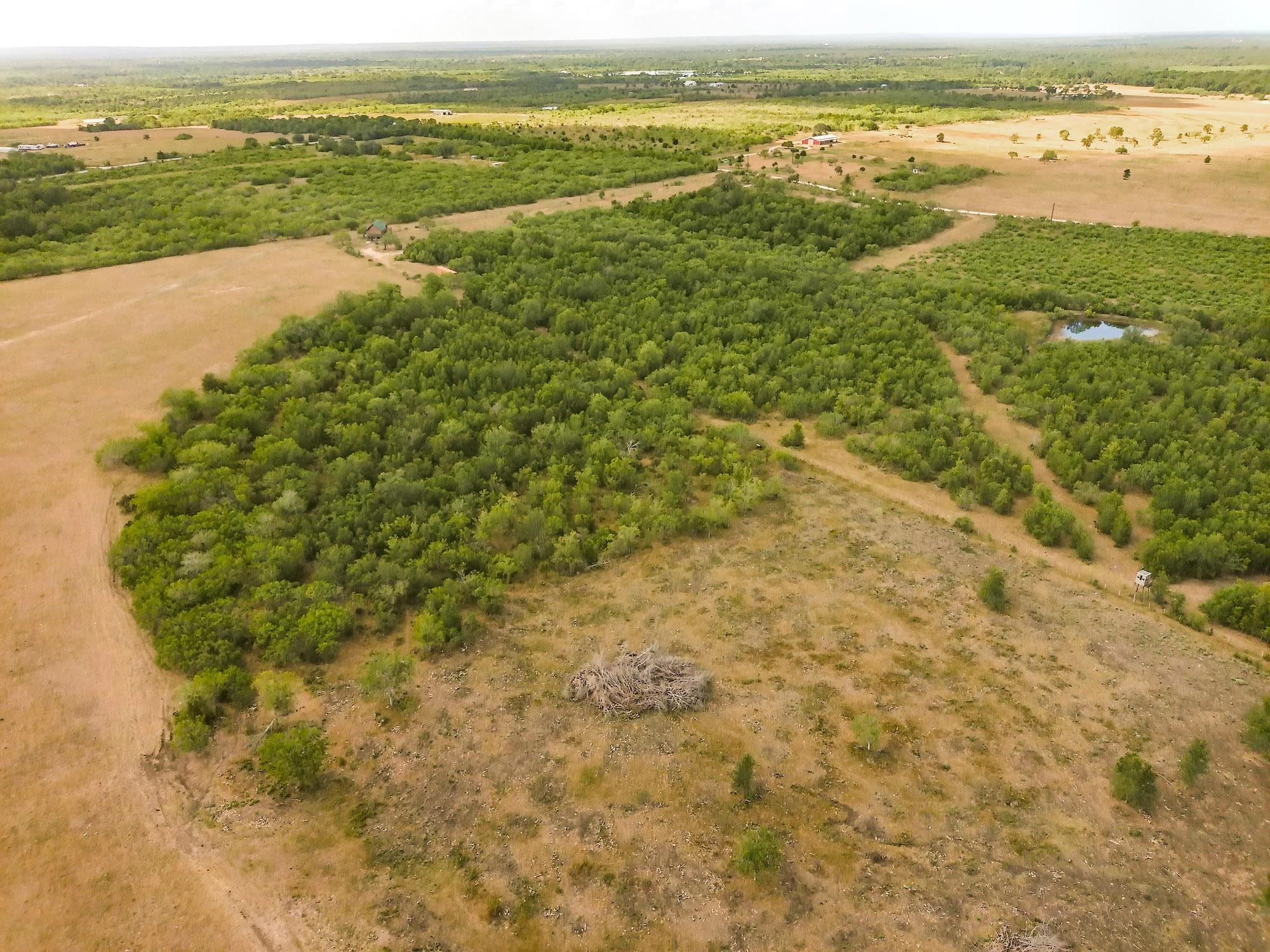 Tbd County Road 446 Waelder TX 78959