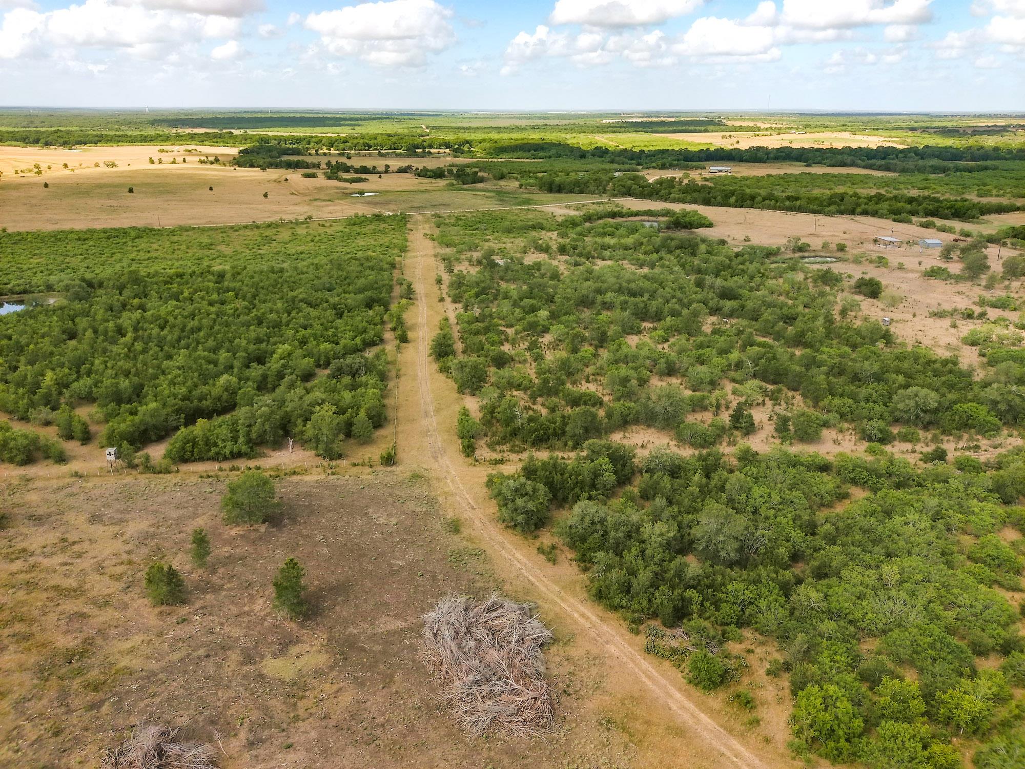 Tbd County Road 446 Waelder TX 78959