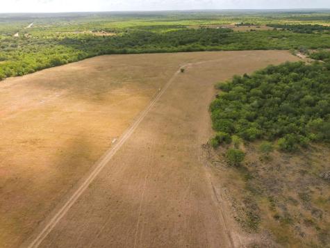 Tbd County Road 446 Waelder TX 78959