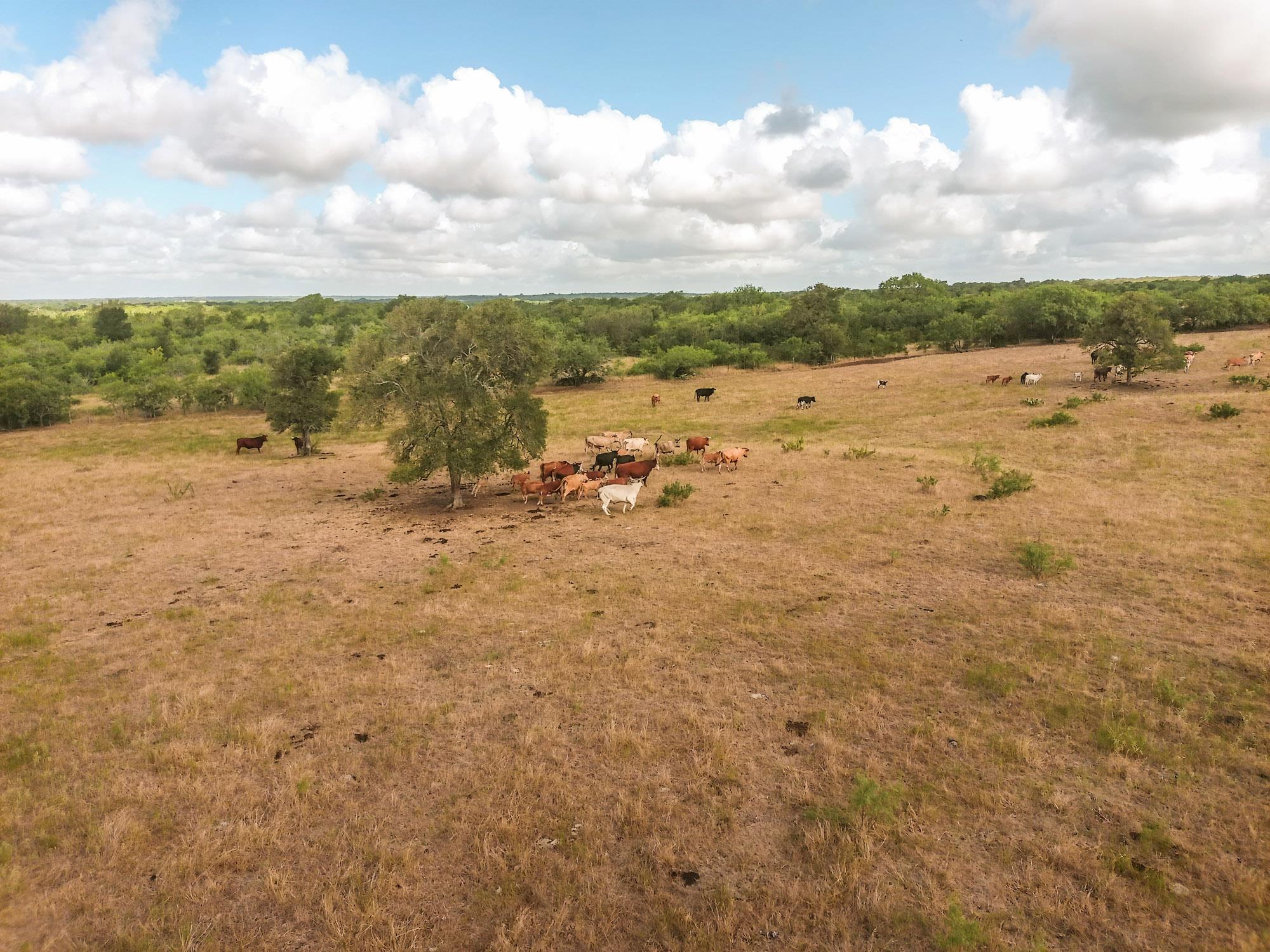 Tbd County Road 446 Waelder TX 78959