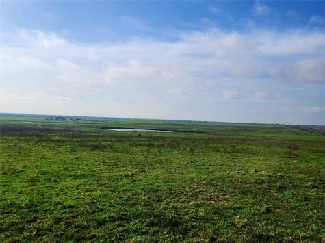 Tbd County Road 446 Waelder TX 78959