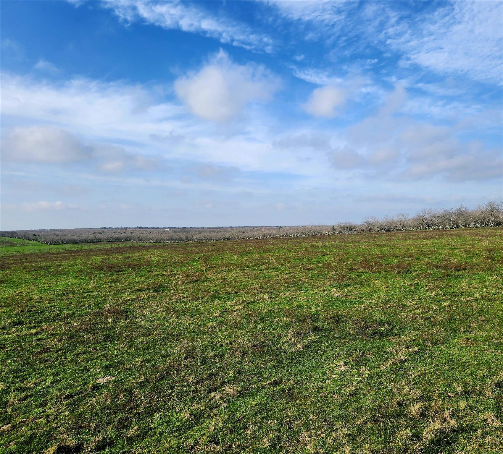 Tbd County Road 446 Waelder TX 78959