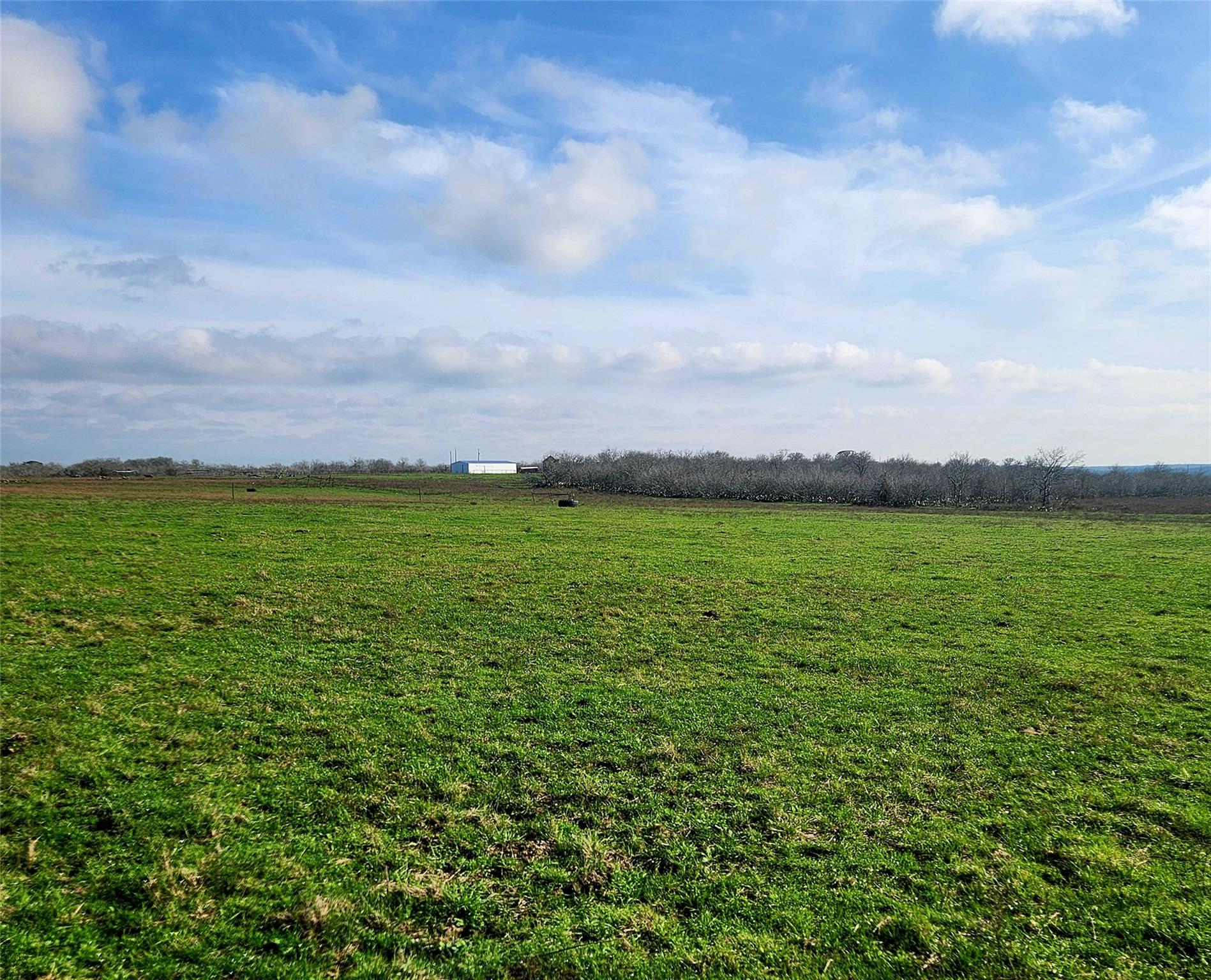 Tbd County Road 446 Waelder TX 78959