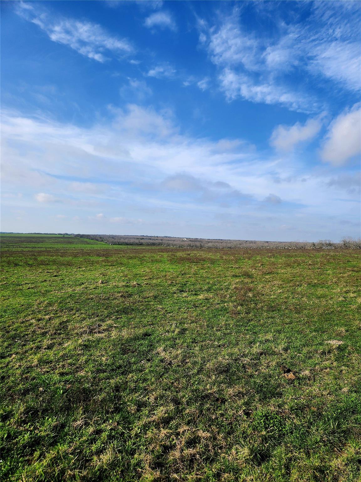 Tbd County Road 446 Waelder TX 78959