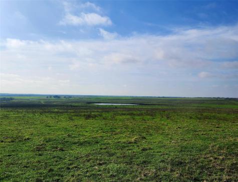 Tbd County Road 446 Waelder TX 78959