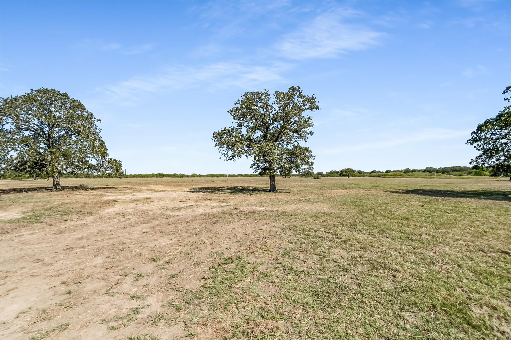 5637 Jeddo Road Waelder TX 78959