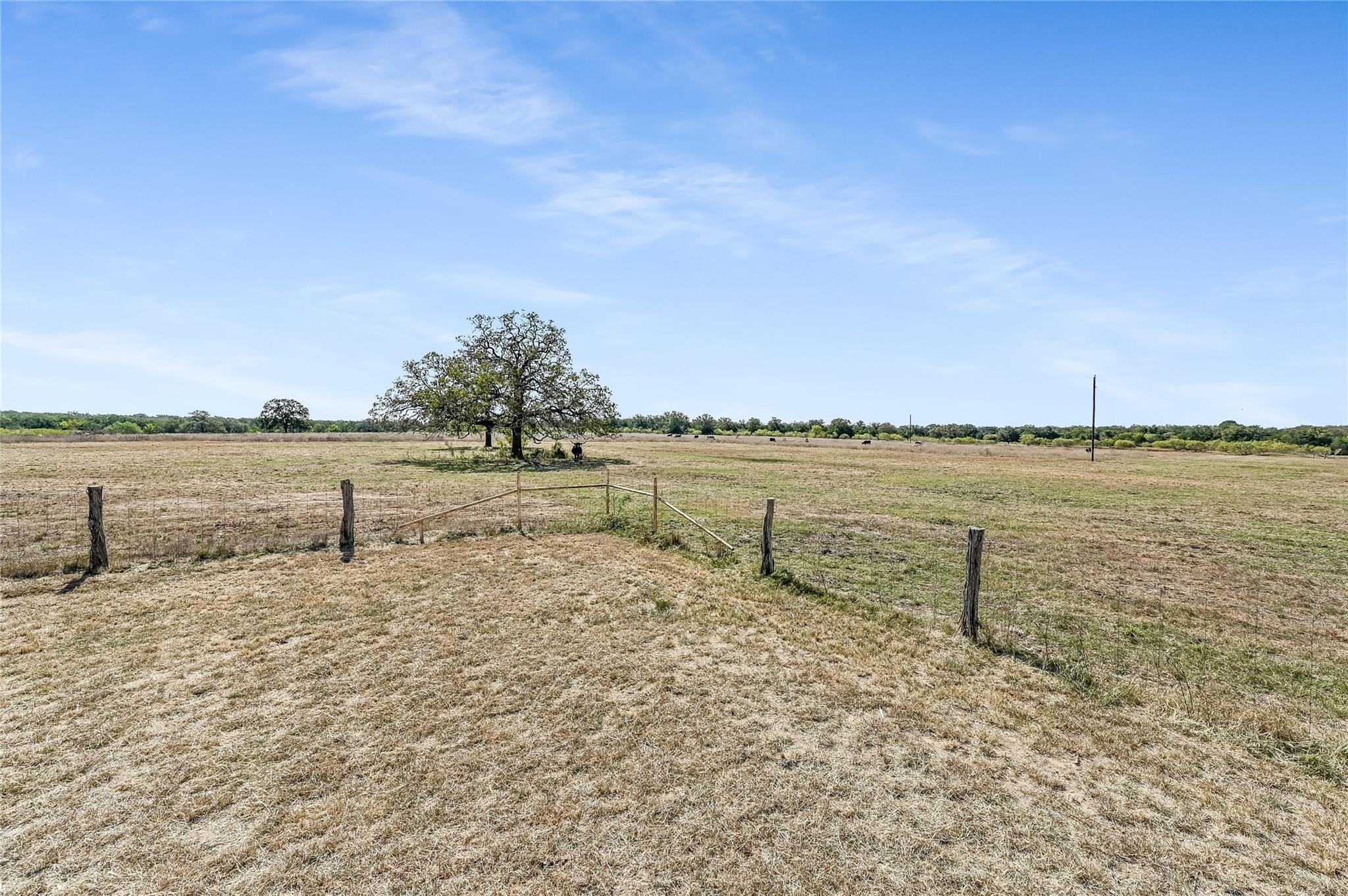 5637 Jeddo Road Waelder TX 78959