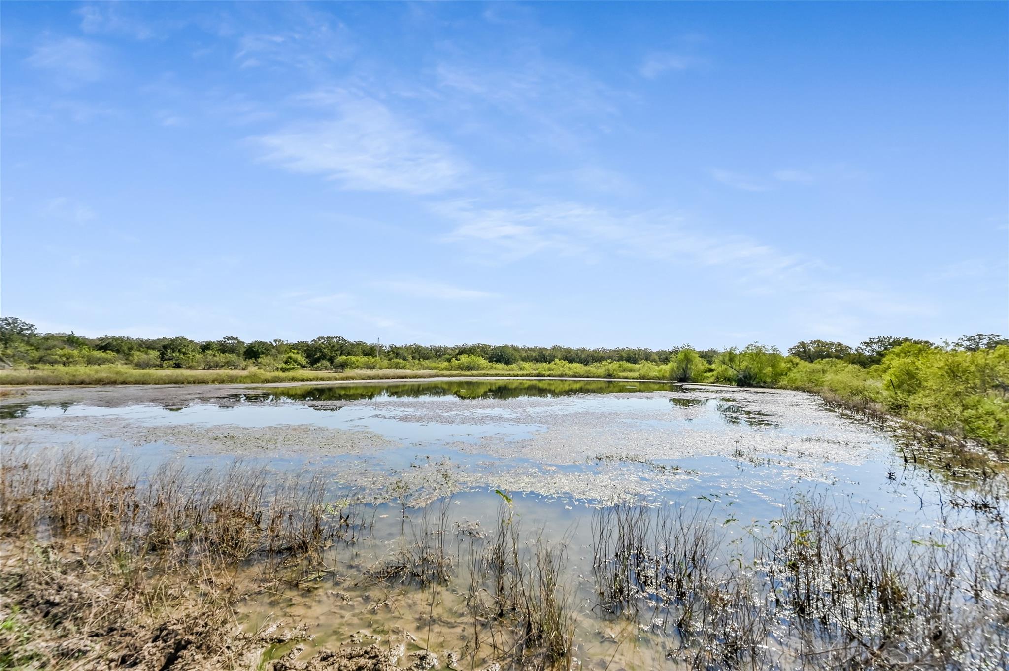 5637 Jeddo Road Waelder TX 78959