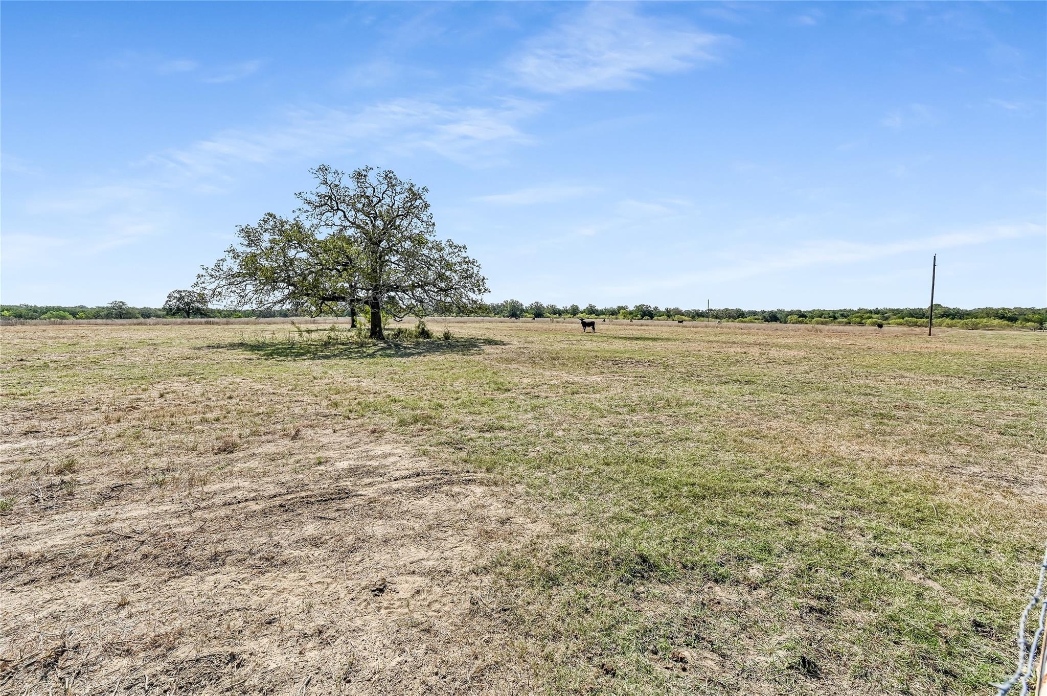5637 Jeddo Road Waelder TX 78959