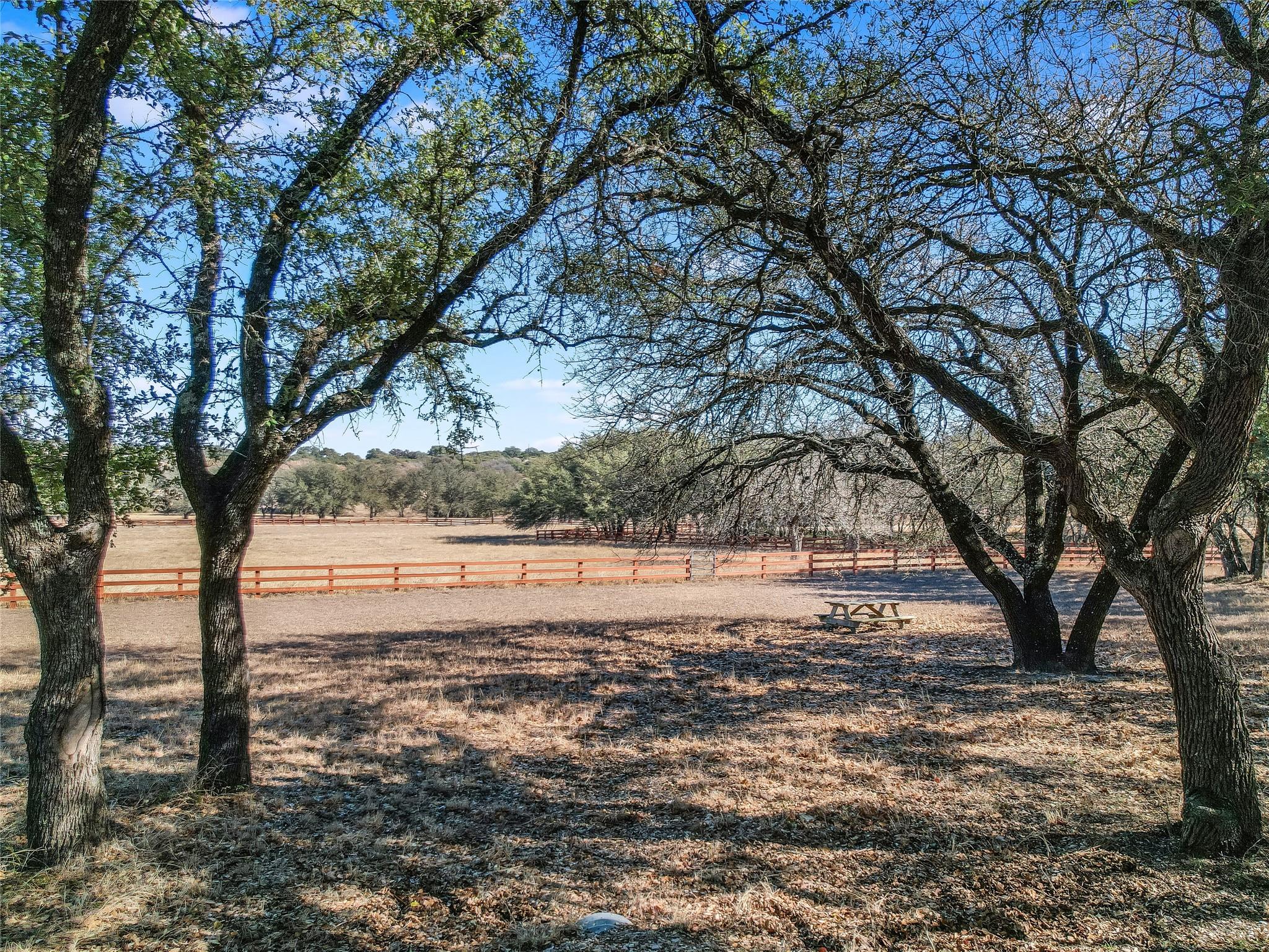 25909 Hamilton Pool Road Round Mountain TX 78663