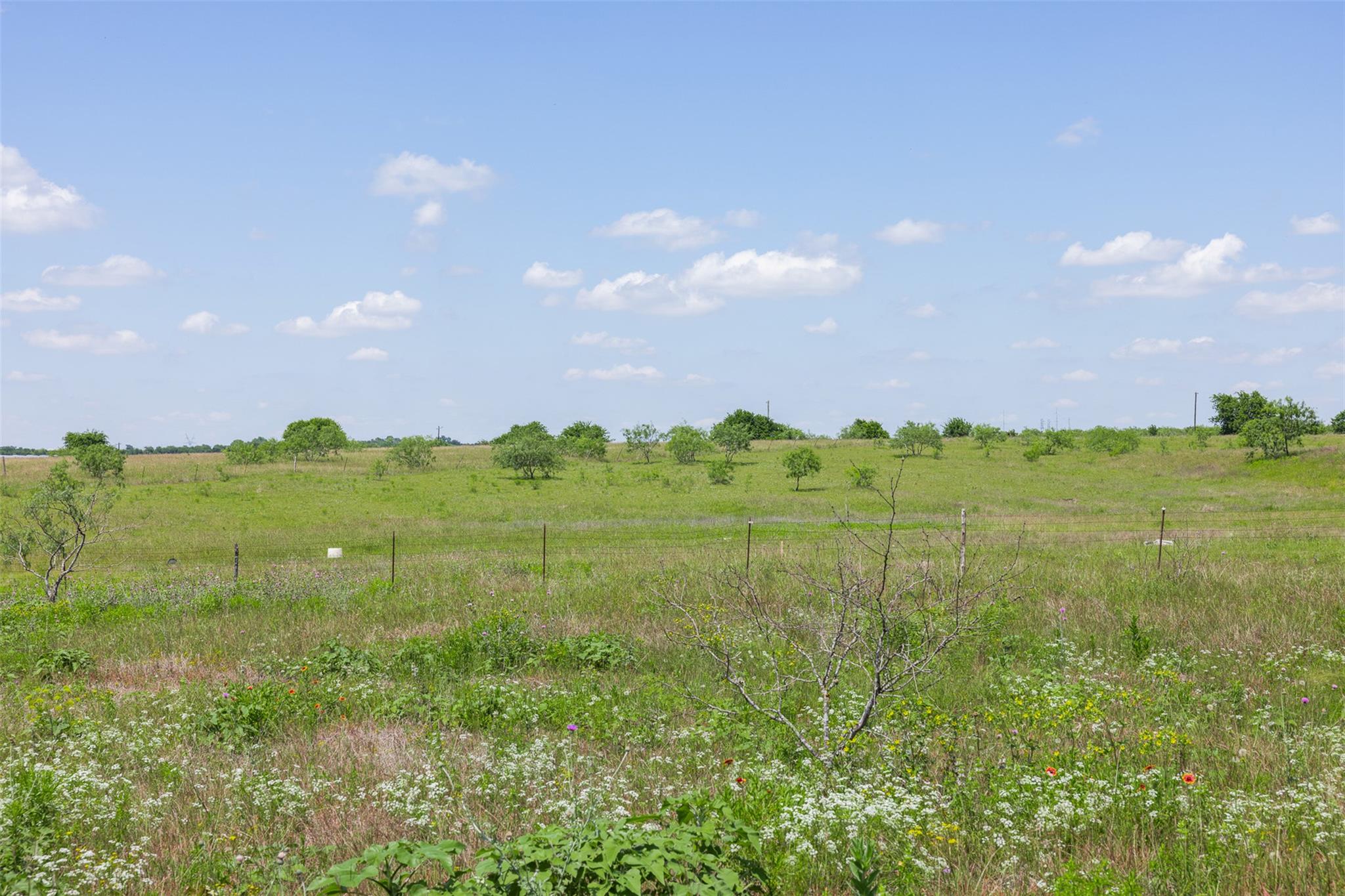 Lot 4 Highway 36 Rogers TX 76569