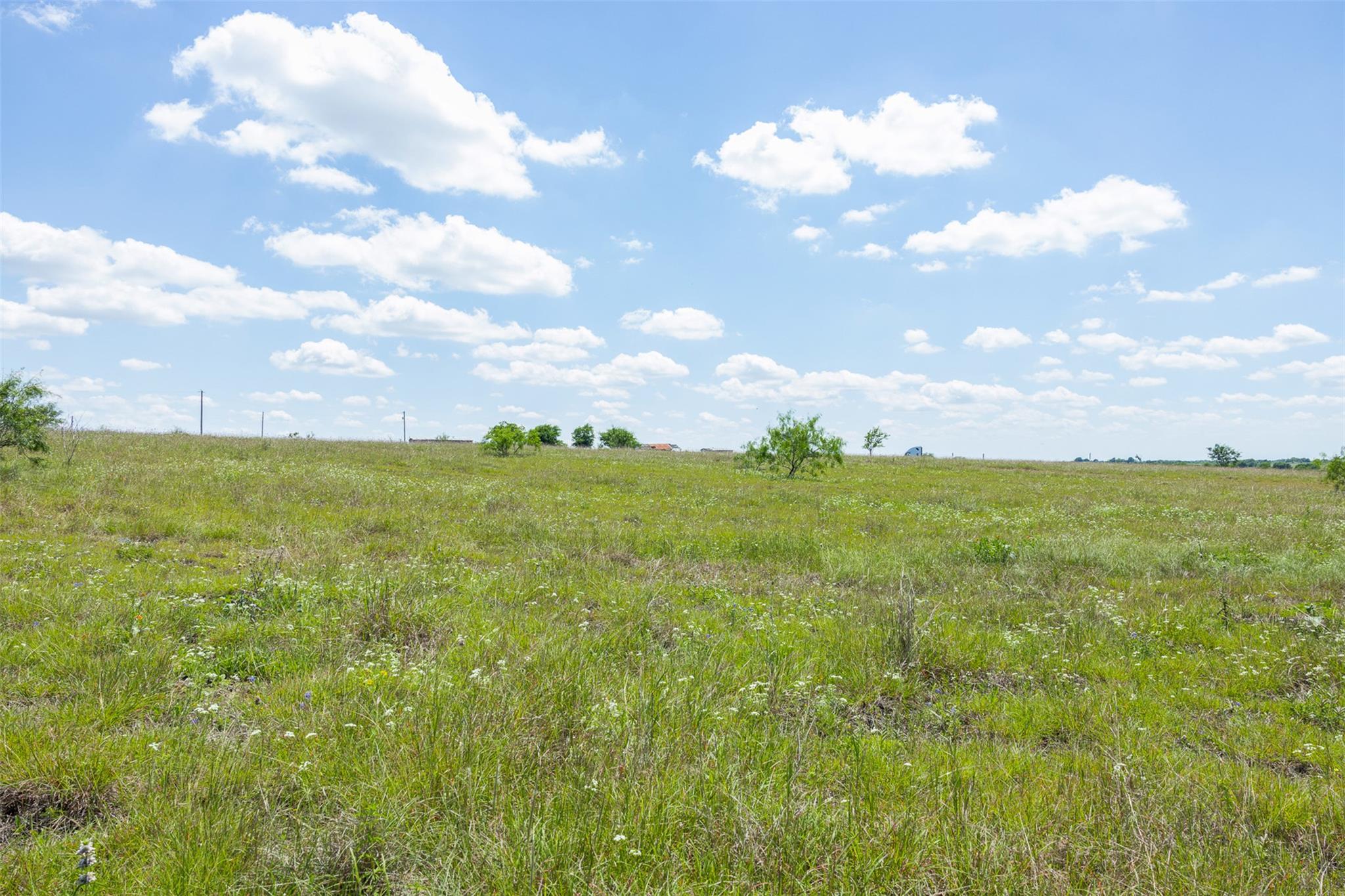 Lot 4 Highway 36 Rogers TX 76569