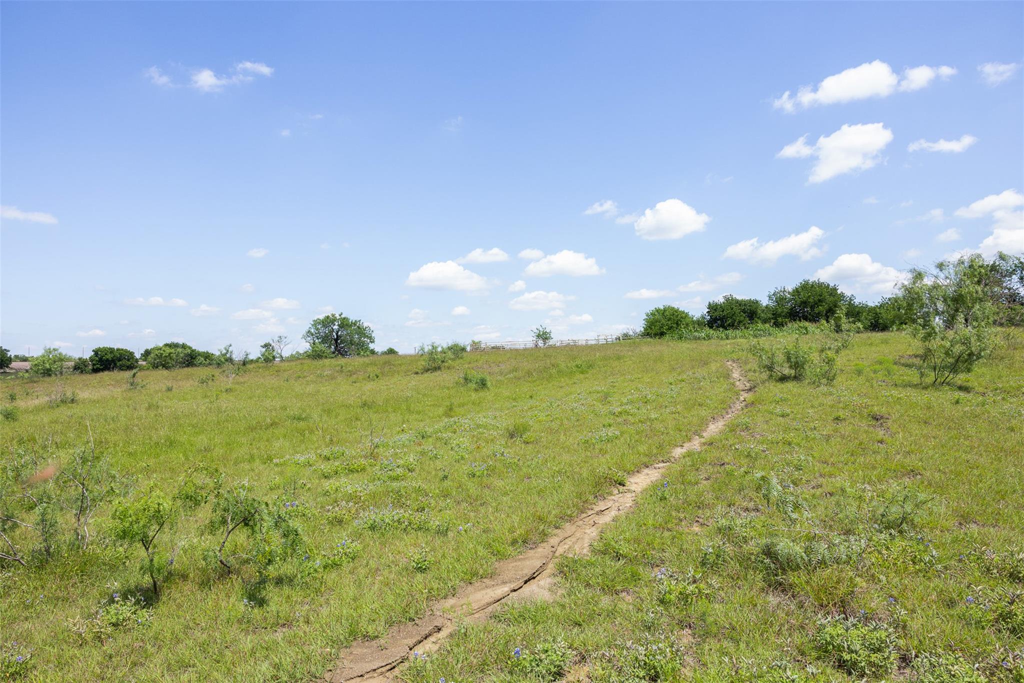 Lot 4 Highway 36 Rogers TX 76569