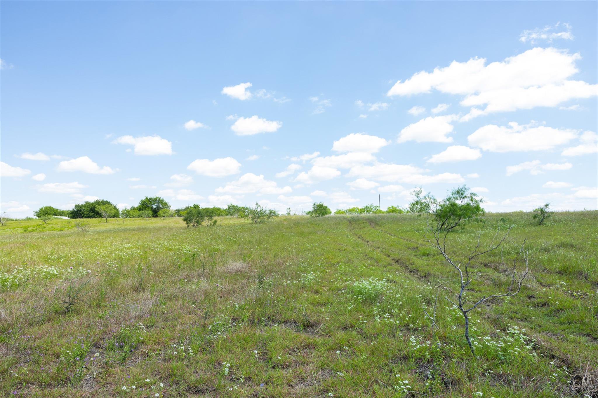 Lot 4 Highway 36 Rogers TX 76569