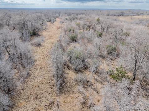 Tbd County Road 424 Waelder TX 78959