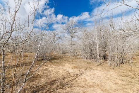 Tbd County Road 424 Waelder TX 78959
