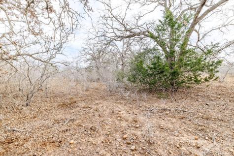 Tbd County Road 424 Waelder TX 78959