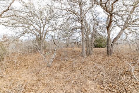 Tbd County Road 424 Waelder TX 78959