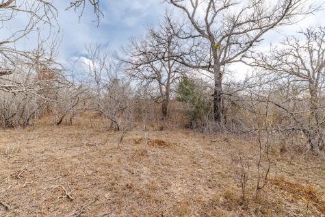 Tbd County Road 424 Waelder TX 78959