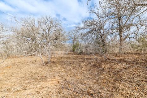 Tbd County Road 424 Waelder TX 78959