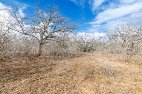 Tbd County Road 424 Waelder TX 78959