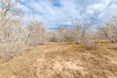 Tbd County Road 424 Waelder TX 78959