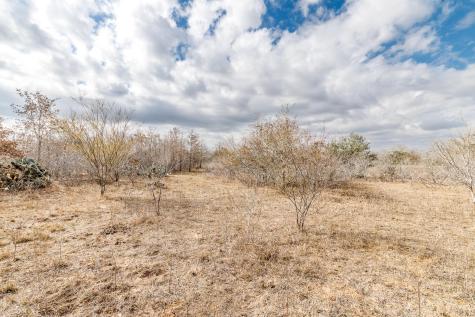 Tbd County Road 424 Waelder TX 78959