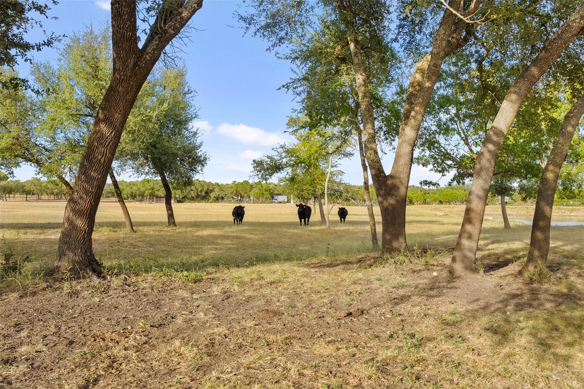 2700 County Road 282 Road Leander TX 78641