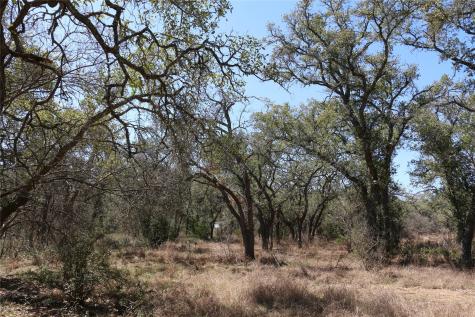 5688 Fm 2325 Wimberley TX 78676