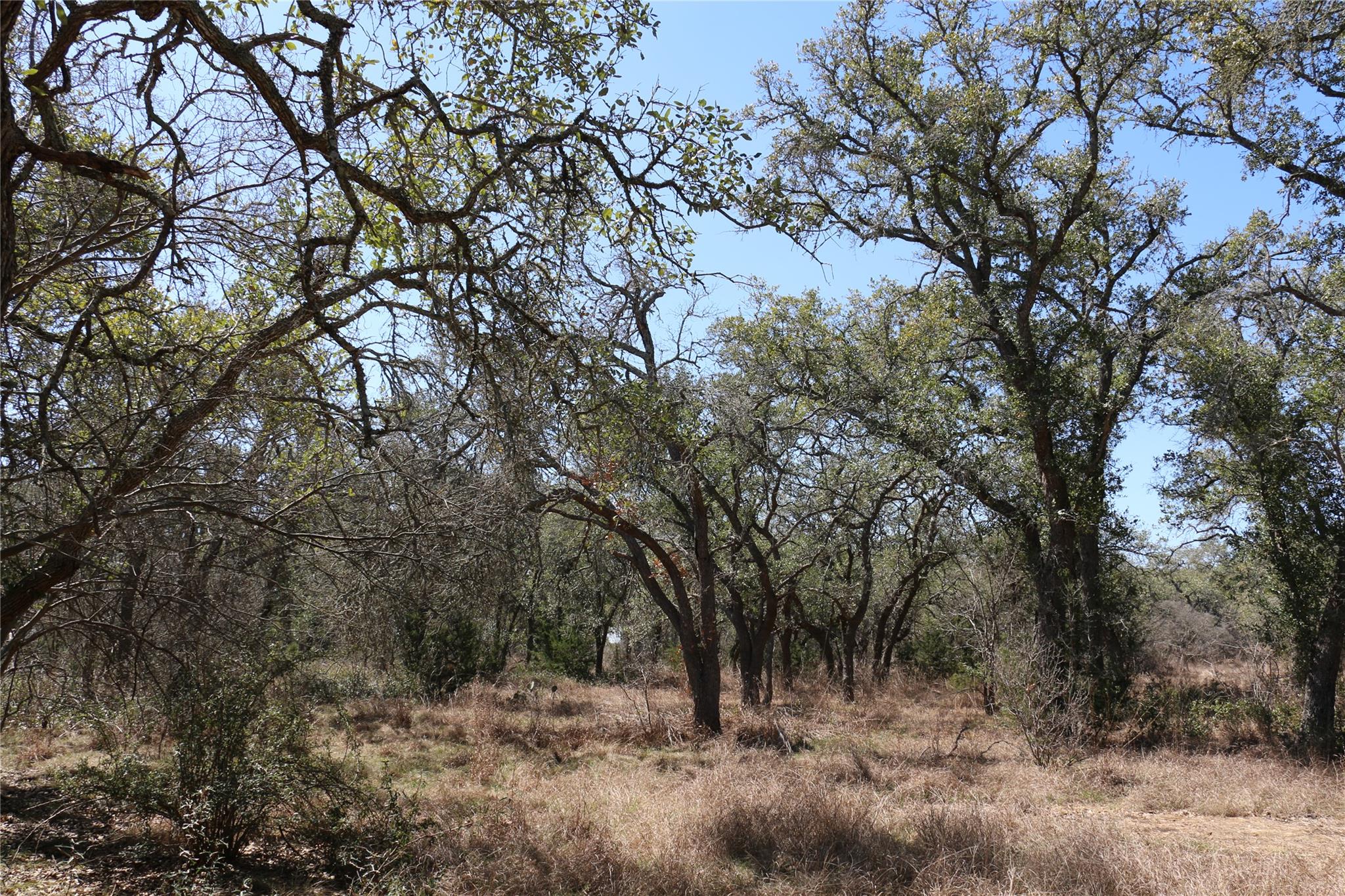 5688 Fm 2325 Wimberley TX 78676