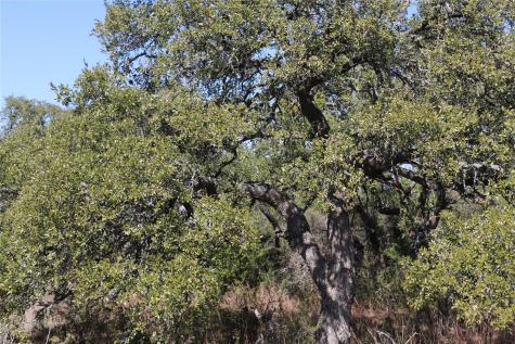 5688 Fm 2325 Wimberley TX 78676