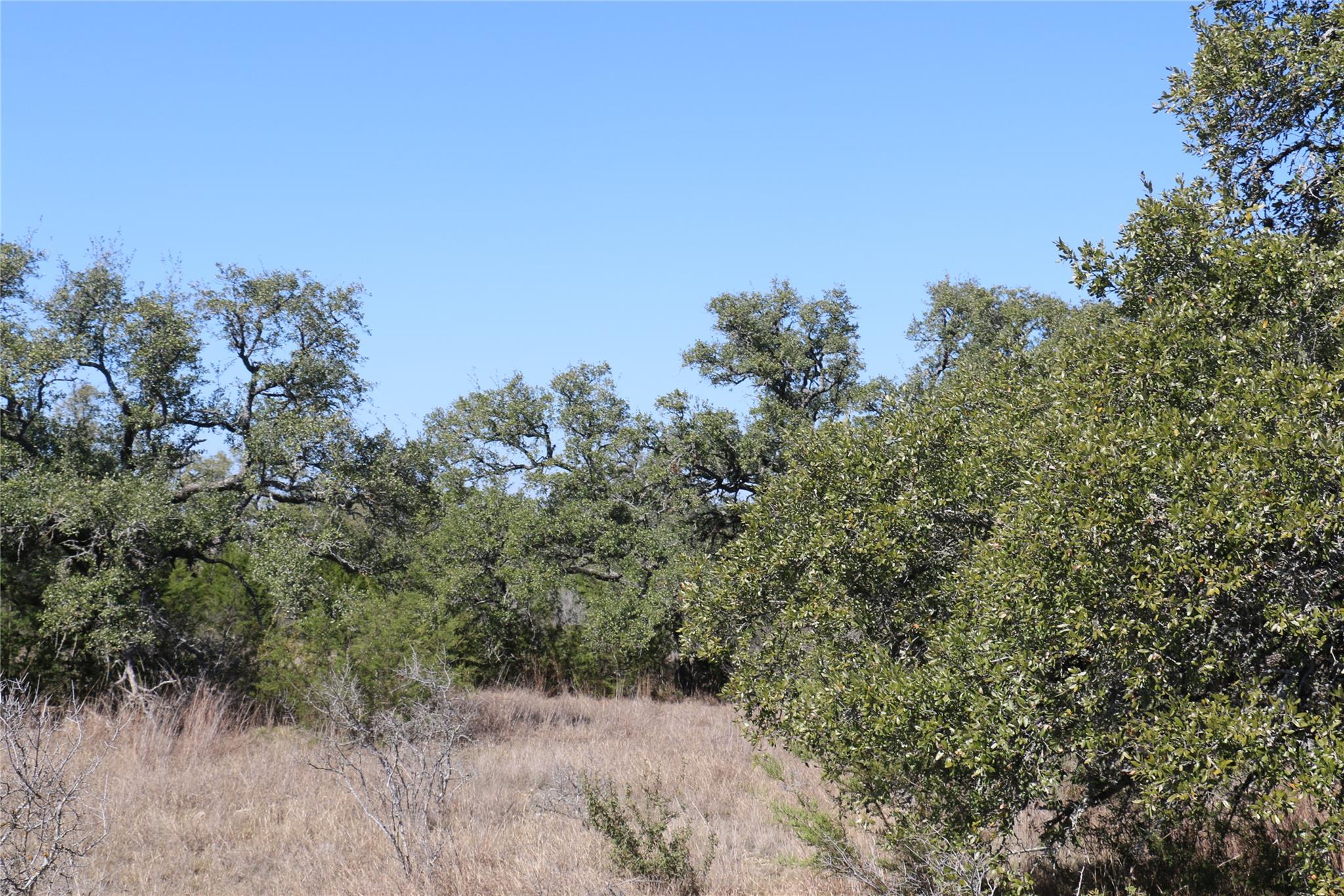 5688 Fm 2325 Wimberley TX 78676