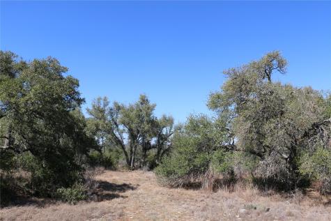 5688 Fm 2325 Wimberley TX 78676