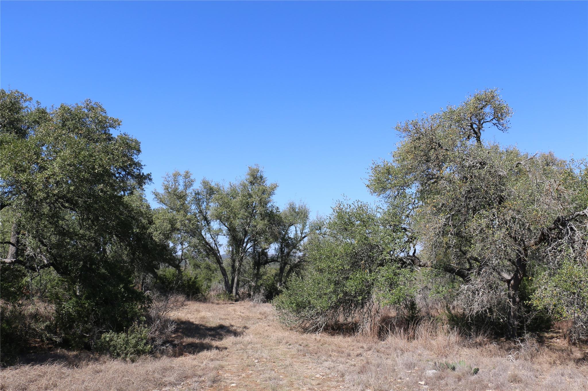 5688 Fm 2325 Wimberley TX 78676