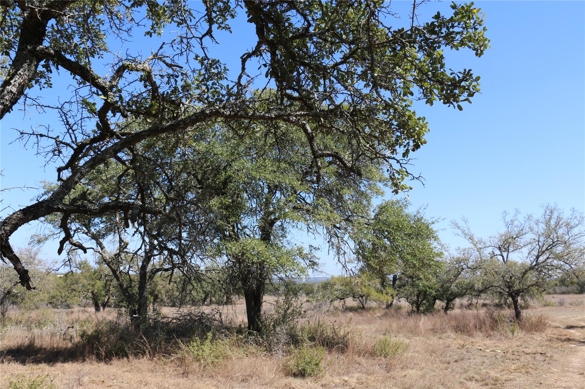 5688 Fm 2325 Wimberley TX 78676